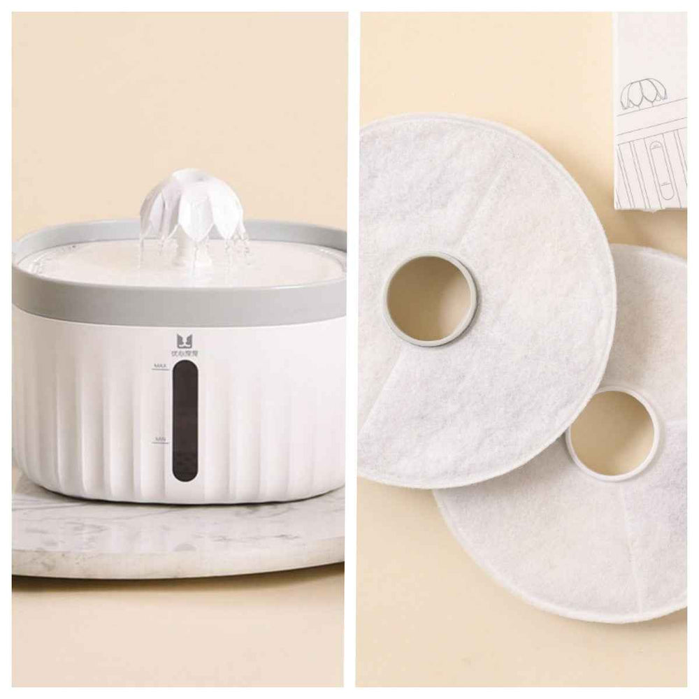 Filtered Automatic Pet Water Dispenser for Fresh Daily Cat Hydration