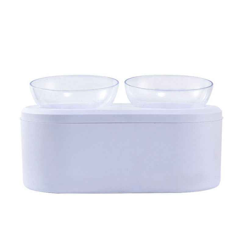 Transparent Oblique Double Pet Bowl for Cats and Small Dogs