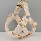 Elegant Leaf Pattern Pet Collar with Gold Buckle for Stylish Comfort