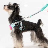 Escape-Proof No-Pull Harness with Multifunction Leash for Medium Dogs