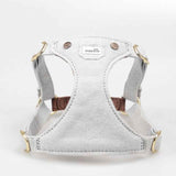 Cute Adjustable Teddy Harness for Comfortable Small Dog Daily Walks
