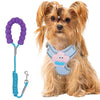 Escape-Proof No-Pull Harness with Multifunction Leash for Medium Dogs