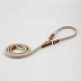 Cute Adjustable Teddy Harness for Comfortable Small Dog Daily Walks