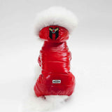 Cozy Teddy Dog Outfit for Small Pets Stylish Comfortable Everyday