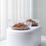 Transparent Oblique Double Pet Bowl for Cats and Small Dogs