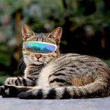 UV Protection Dog Goggles for Outdoor Eye Safety and Style
