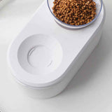 Transparent Oblique Double Pet Bowl for Cats and Small Dogs