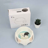Small Dog Food Bowl for Easy Daily Feeding