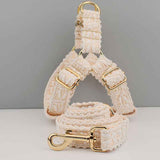 Elegant Leaf Pattern Pet Collar with Gold Buckle for Stylish Comfort