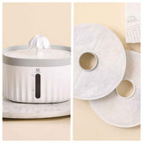 Filtered Automatic Pet Water Dispenser for Fresh Daily Cat Hydration