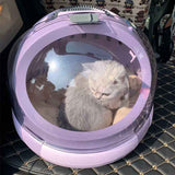 Portable Cat Litter Box for Travel and Home Use