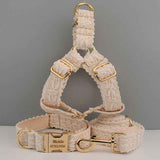 Elegant Leaf Pattern Pet Collar with Gold Buckle for Stylish Comfort