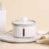 Filtered Automatic Pet Water Dispenser for Fresh Daily Cat Hydration