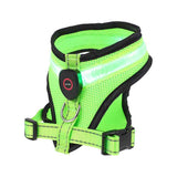 Rechargeable Mesh LED Lighted Dog Harness for Safe Night Walks