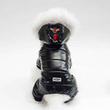Cozy Teddy Dog Outfit for Small Pets Stylish Comfortable Everyday