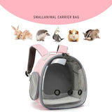 Transparent Small Pet Backpack for Travel Adventures