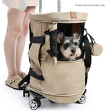 Foldable Detachable Pet Carrier Bag for Cats and Small Dogs Travel