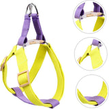 No-Pull Nylon Harness, Collar and Leash Set for Small Dogs