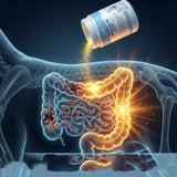 Pet Nutritional Supplements For Gut Health