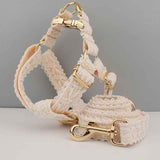 Elegant Leaf Pattern Pet Collar with Gold Buckle for Stylish Comfort