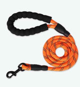 Reflective Dog Leash for Safer Night Walking and Control