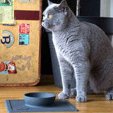 Strong Suction Silicone Pet Bowl for Cleaner Splash-Free Feeding