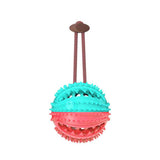 Silicone Suction Cup Tug Toy for Dogs – Chew & Dental Toy