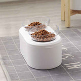 Transparent Oblique Double Pet Bowl for Cats and Small Dogs