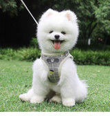 Breathable Mesh Harness and Leash Set for Small Dogs