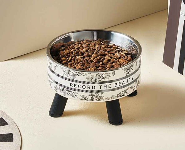 Elevated Stainless Steel Pet Bowl with Anti-Slip Stable Base