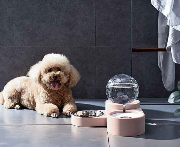 Automatic Pet Water Bowl for Cats and Dogs Daily Hydration