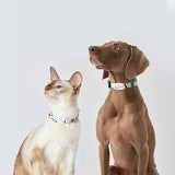 PETKIT Fit Smart Pet Collar Tag — Bluetooth Activity, Sleep & Locator Tracker