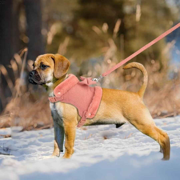 Warm Bow-Tie Harness and Leash Set for Stylish Small Dogs