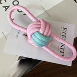 Interactive Dog Chew Toy for Training Dental Care and Lasting Fun