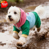 Waterproof Four-Leg Dog Raincoat Jumpsuit with Hood for Adventures