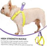 No-Pull Nylon Harness, Collar and Leash Set for Small Dogs