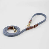 Cute Adjustable Teddy Harness for Comfortable Small Dog Daily Walks