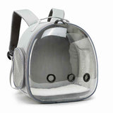 Transparent Small Pet Backpack for Travel Adventures