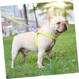 No-Pull Nylon Harness, Collar and Leash Set for Small Dogs