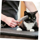 Battery-Powered Pet Hair Trimmer for Precise Grooming and Haircuts