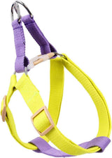 No-Pull Nylon Harness, Collar and Leash Set for Small Dogs
