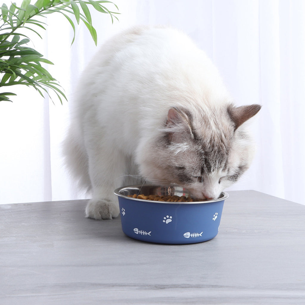 Non-Slip Stainless Steel Pet Bowl with Strong Suction Base
