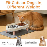 Elevated Cat Bowl Set with Non-Slip Stainless Steel Bowls