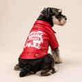 Warm Winter Outfit for Dogs