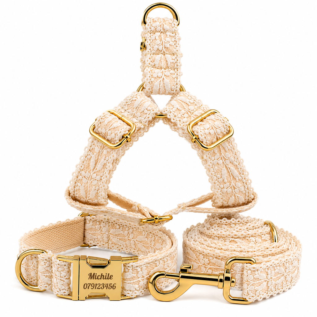 Elegant Leaf Pattern Pet Collar with Gold Buckle for Stylish Comfort