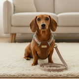 Adjustable Anti-Escape Dog Harness and Leash for Secure Daily Walks