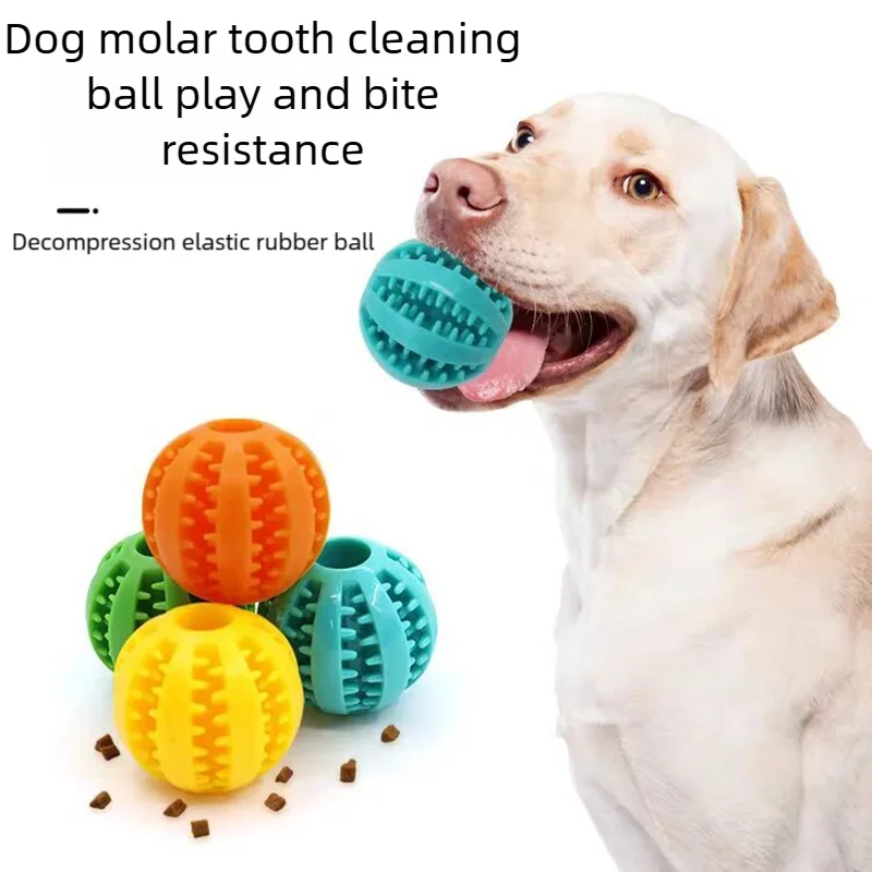 Rubber Ball Chew Toy for Dogs and Cats