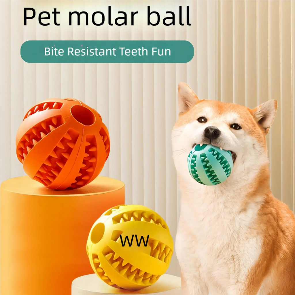 Rubber Ball Chew Toy for Dogs and Cats