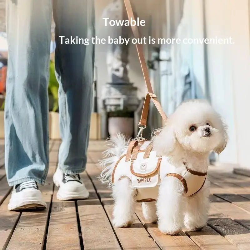 Convertible Travel Carrier Bag for Pets