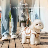 Convertible Travel Carrier Bag for Pets